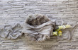© Mila - Gray nest, digital photography background for newborn and baby