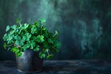 Fototapeta  - A pot of lush green clover placed on a surface with a blurred greenery background