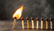 Lit match next to a row of unlit matchsticks. The Passion of One Ignites New Ideas, Change in Others.