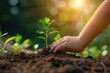 © panu101 - The two wrists of an Asian girl are planting a small tree. nature conservation bokeh background Bright morning light