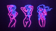 © Dmytro - Neon bright sexy silhouettes of girls and women in blue and pink against a brick wall background. A concept for a sex shop.