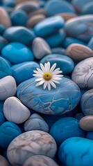 white flower sitting top blue stone pebbles symbolic city color duotone wow sad daisies round rocks strong