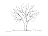 Fototapeta Dmuchawce - Continuous one line drawing of tree on white background.
