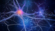 neuron and nerve generative ai