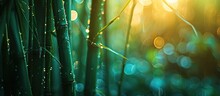 Detailed Bamboo Texture With Blurred Bokeh Lights, Offering A Generous Copyspace For Creative Content.