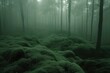 scary green dark forest nature professional photography