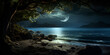Moonlit Paradise stunning beach landscape with a glowing moon gently swaying palm trees nights scene background and wallpaper 