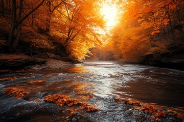 Wall Mural - Orangeautumn on the river