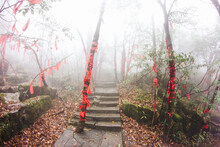 Mystic Foggy Forest Background. Horror Mysterious Dark Scenery. Morning Rainy Day. Walking Trail Stairs Along Cliff Edge On Tianmen Mountain China. Red Ribbons Hanging On A Tree. Wish Trees In Woods.