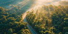 A Panoramic View Of A Highway Meandering Through A Dense, Green Forest With Early Morning Mist Rays Of Sunrise Filter Through The Trees