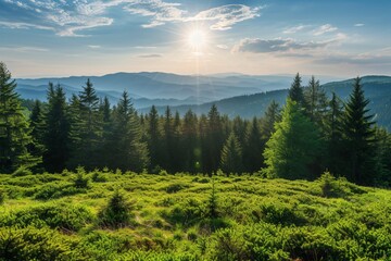 Wall Mural - Panorama of spring mountain landscape with forest and sun