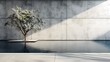 concrete wall with tree and shadow and clean clear water pool swiming reflecting water nature wall mockup template daylight
