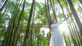 Fototapeta Dziecięca - A woman wearing a white dress stands amidst a forest of tall green trees.