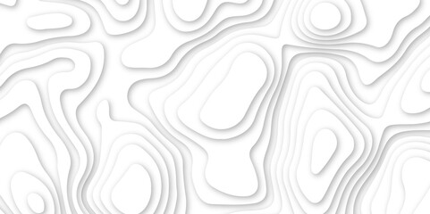 Wall Mural - Abstract white wavy line 3d paper cut white background. abstract white background with smooth wavy layers. silver grid map line topography mount contour map .