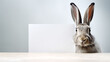 Portrait of a funny hare with a blank banner. Copy-space