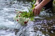 florist rinsing flowers in the flow of a spring stream