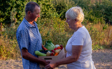 Poster - two farmers stand together with a box full of freshly picked vegetables in a local farmland