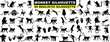 Monkey silhouette vector collection. 60 unique, realistic poses. Ideal for wildlife, nature themes, graphic designs. Black figures, white background. Editable, diverse, playful, calm
