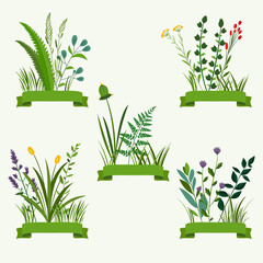 Wall Mural - Hand drawn flat herbs and grasses mini composition set