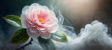 Fototapeta Kwiaty - Kwiat Kamelia różowy