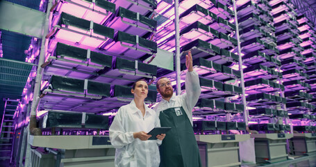 Wall Mural - Technological Agriculture Center with Automated Hydroponics System. Operators Organizing Workflow, Using Software on a Tablet Computer and Chatting About Work. Modern Indoors Vertical Farm Operations