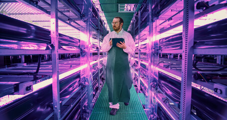 Wall Mural - Farming Technician Walking Between Rows of Produce at a Modern Vertical Farm With UV Lights. Young Horticulturist in Protective Uniform Using Tablet Computer to Organize and Analyze Plant Information