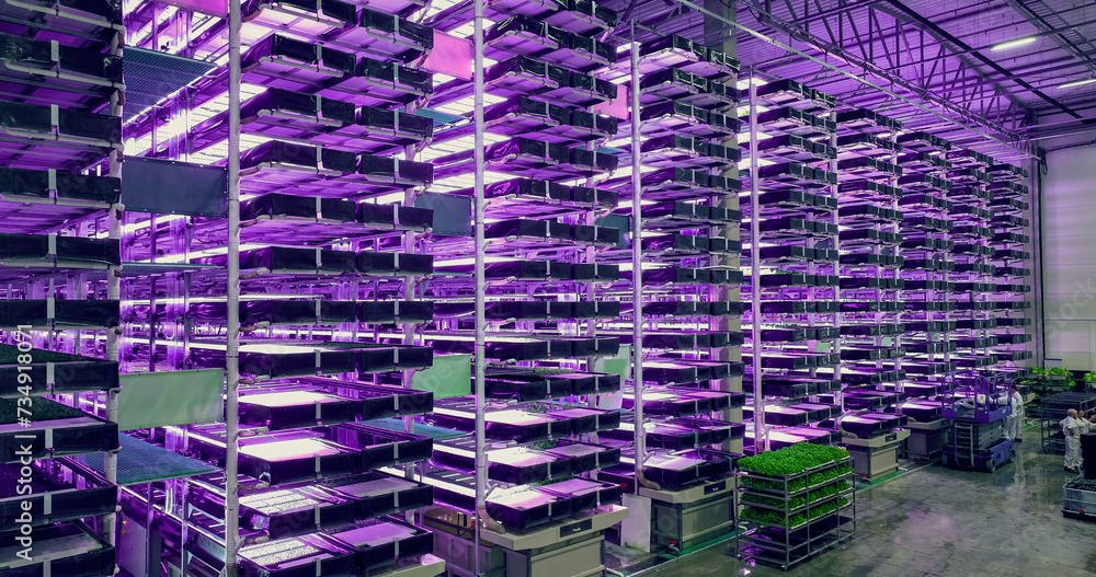 Big Vertical Farm with Multiple Rows and Layers of Eco-Friendly Plants ...