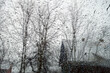 View on winter house and  trees through wet windshield with rain drops.