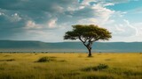 Fototapeta Sawanna - Serene african savannah landscape with a solitary tree, peaceful sky, and vast plains. ideal for backgrounds and nature themes. AI