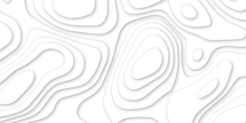 Wall Mural - Abstract white wavy line 3d paper cut white background. abstract white background with smooth wavy layers. silver grid map line topography mount contour map .