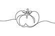Tomato in continuous line art drawing style. Ripe tomato fruit black linear sketch isolated on white background. Vector illustration