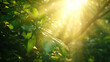 A closeup of a dazzling sunbeam shining through the canopy creating an ethereal effect.