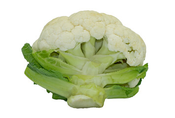 Cauliflower (Brassica oleracea 'Botrytis') is a plant from the cruciferous family (Brassicaceae), used as a vegetable, with fleshy and grainy flowers and leaves resembling cabbage leaves