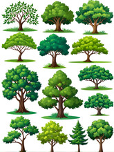 Vector Collection Of Trees Separated. Collection Of Trees. On White Background