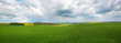 Hellgrüne, frische Felder mit Raps im Hintergrund in der Bourgogne, Panorama