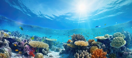 Wall Mural - Marine pollution on corals underwater in the tropical coral reef of the Red Sea. Creative Banner. Copyspace image
