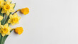 Spring composition of flowers daffodil bouquet, top view with space for copy space white background