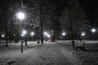 Alley of the old park on a winter evening during snowfall