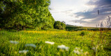 Fototapeta Do pokoju - Paysage de campagne au milieu des champs verts et des arbres au printemps.