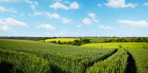 Wall Mural - Paysage de campagne en France, vue sur les champs et les chemins à travers les prairies au printemps.