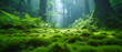 © Real - Mystical forest scene, where fog and lush greenery merge to create an enchanting landscape, inviting exploration and wonder