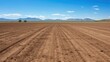 crops dirt farm field