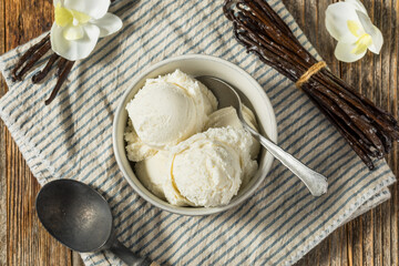 Wall Mural - Sweet Homemade Vanilla Bean Ice Cream Gelato