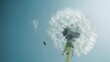 Generative AI : dandelion plant with seeds isolated on blue