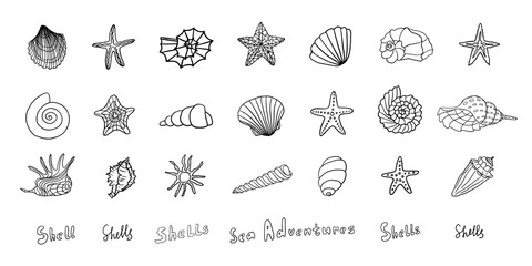 Big set of different types of seashells in doodle style. marine shell, starfish, snail, scallop. Travel design. Beach. Hand drawn