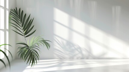 Wall Mural - Minimal abstract light blue background for product presentation. Shadow of tropical leaves and curtains window on plaster wall.