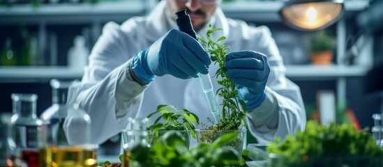 Wall Mural - scientist examining and analyzing plant specimen in laboratory for botanical research and experiment