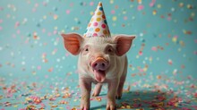 A Small Pig Wearing A Party Hat With Confetti On It's Head And Sticking Its Tongue Out.