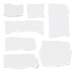 Wall Mural - Set of vector checkered paper of different shapes ripped scraps fragments wisps isolated on white background. Paper collage. Vector illustration.