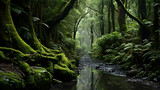 Fototapeta Dziecięca - A forest with mossy trees and a stream,,
Exotic Rainforest Creek

